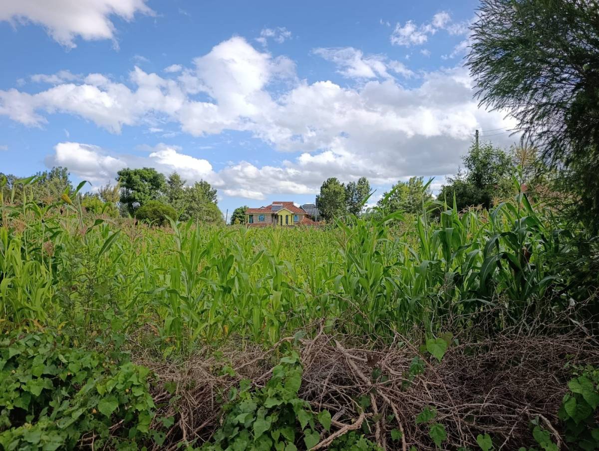 Quick Sale – Prime 1/4 Acre Plot in Kitengela Safaricom 5M